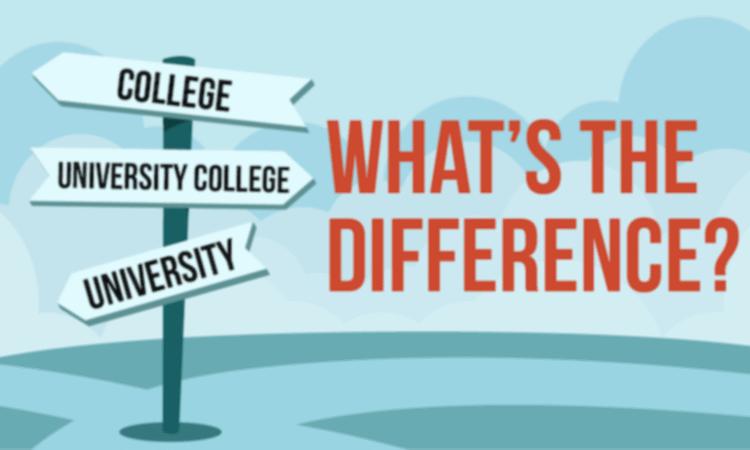 What is the difference between college and university